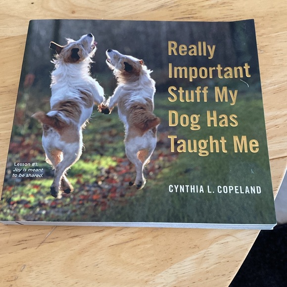 NWT Adjustable Dog Mom Hat with dog bundle NEW - Picture 6 of 12